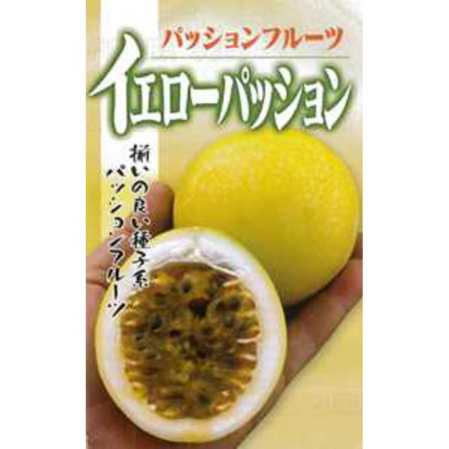 イエローパッション 10ml パッションフルーツ【フタバ 種 たね タネ】【通常5倍 5のつく日はポイント10倍】 | 
