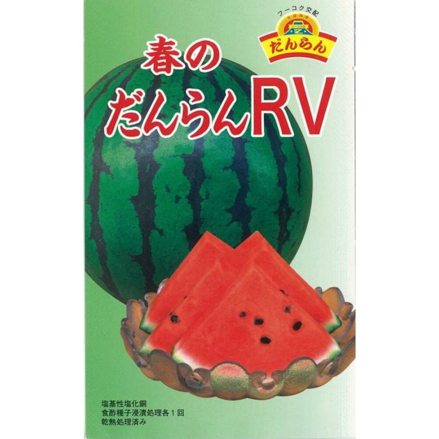 春のだんらんRV 大玉スイカ 200粒 スイカ すいか 西瓜【萩原農場 種
