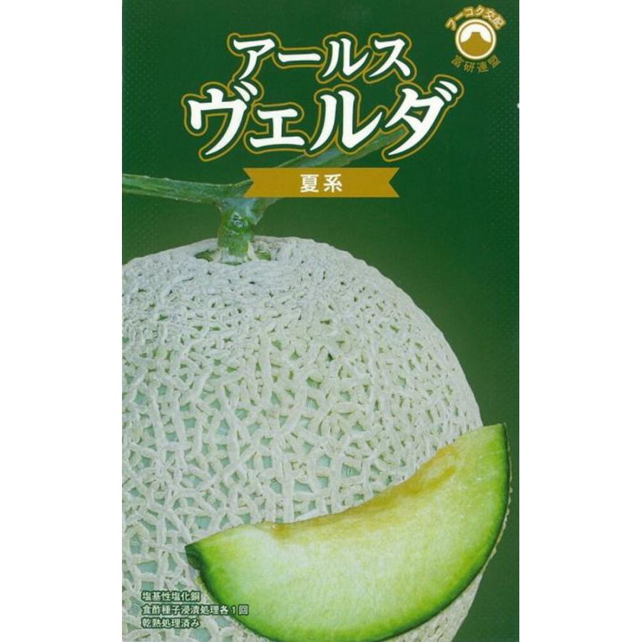 アールスヴェルダ 夏系 メロン 100粒 めろん 舐瓜【萩原農場 種 たね