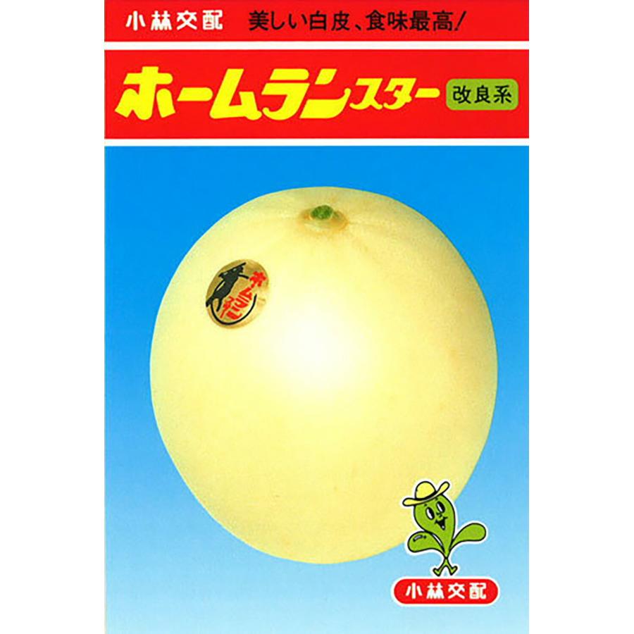 ホームランスター改良系 100粒 めろん メロン 舐瓜【小林種苗 種 たね