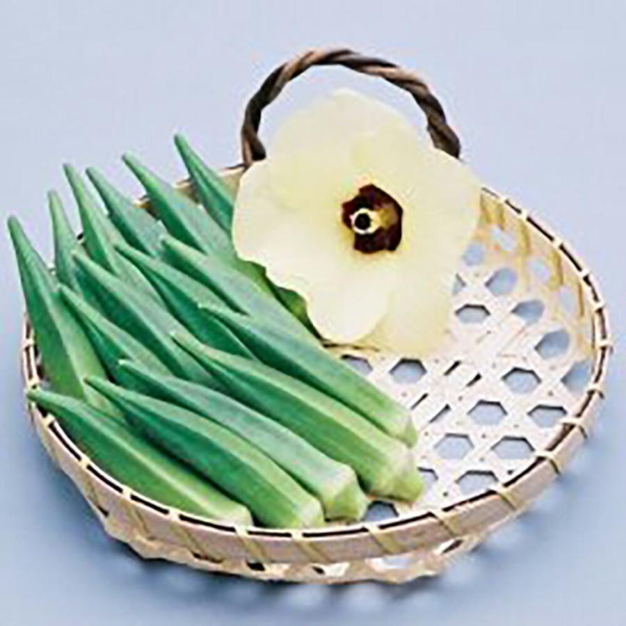 いなみどり 1L オクラ おくら 【小林種苗 種 たね タネ】【通常5倍 5のつく日はポイント10倍】 オクラ