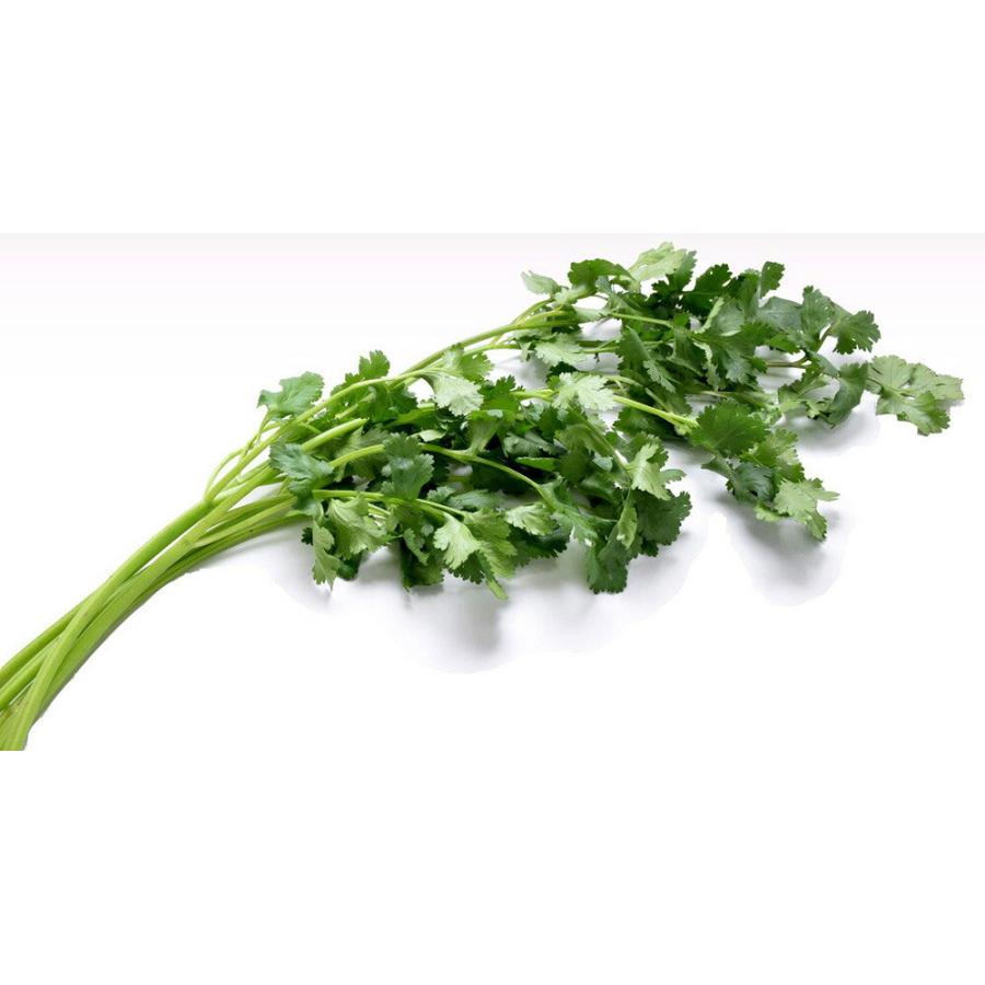 専用★パクチー（大粒タイプ）の種✖️1kg 楽天市場】ハーブの種 パクチ－ 6ml 品番7743 種子 たね : 日本