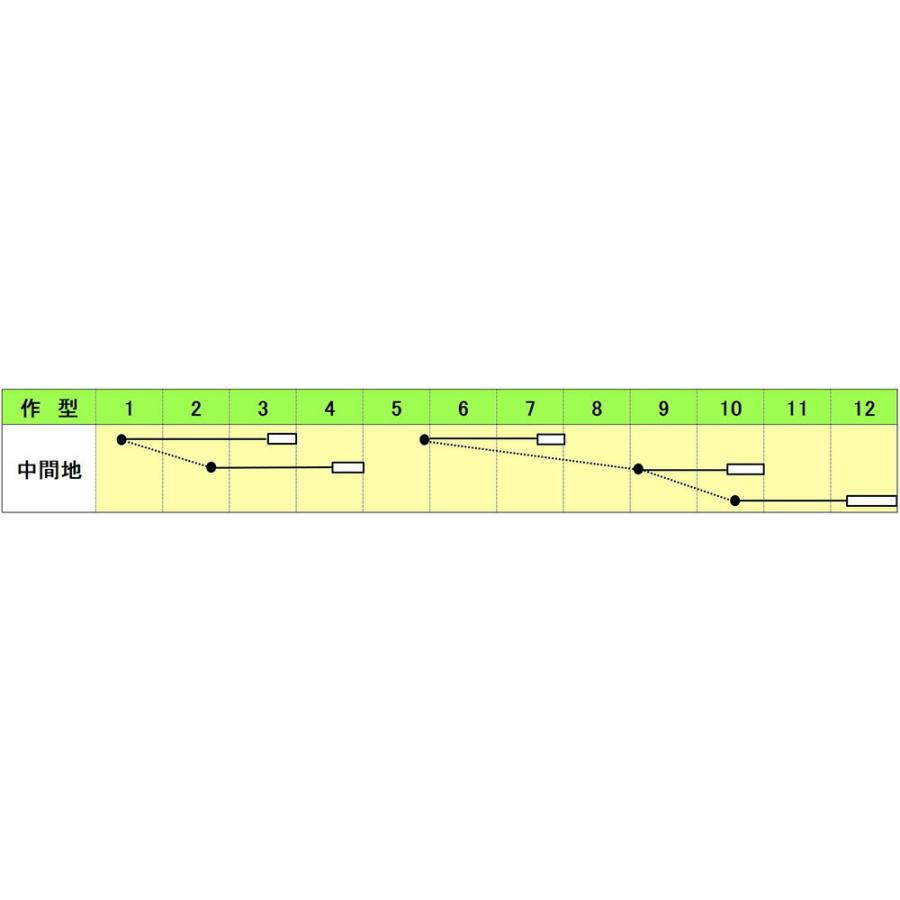 Ku May　　パクチー5kg Amazon | S&B きざみパクチー 38g×5個 | S&B | スパイス・ハーブ