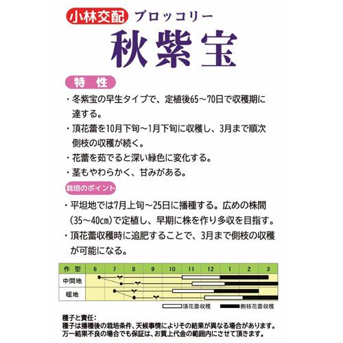 秋紫宝 1000粒 ブロッコリー【小林種苗 種 たね タネ】【通常5倍 5のつく日はポイント10倍】 |  | 01