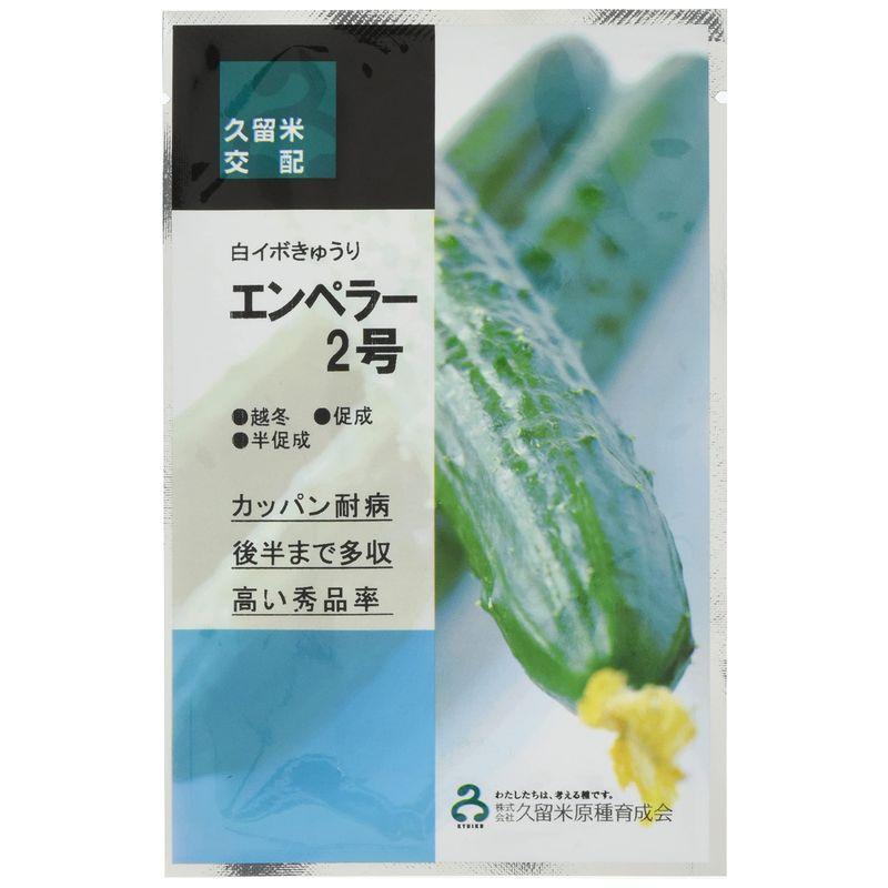 エンペラー2号 100粒 胡瓜 キュウリ きゅうり【久留米原種育成会 種 たね タネ】【通常5倍 5のつく日はポイント10倍】 | 