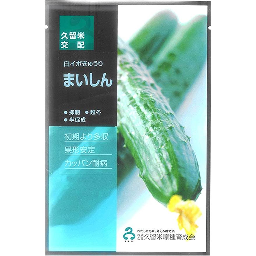 まいしん 350粒 胡瓜 キュウリ きゅうり【久留米原種育成会 種 たね タネ】【通常5倍 5のつく日はポイント10倍】 | 