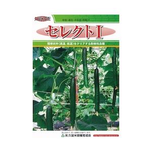 セレクト1 100粒 胡瓜 キュウリ きゅうり【久留米原種育成会 種 たね タネ】【通常5倍 5のつく日はポイント10倍】 | 