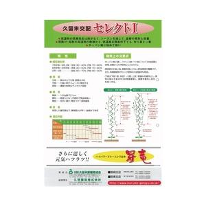 セレクト1 100粒 胡瓜 キュウリ きゅうり【久留米原種育成会 種 たね タネ】【通常5倍 5のつく日はポイント10倍】 |  | 01