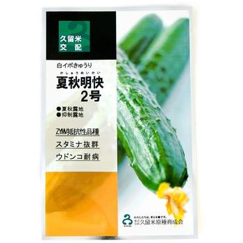 夏秋明快2号 100粒 胡瓜 キュウリ きゅうり【久留米原種育成会 種 たね