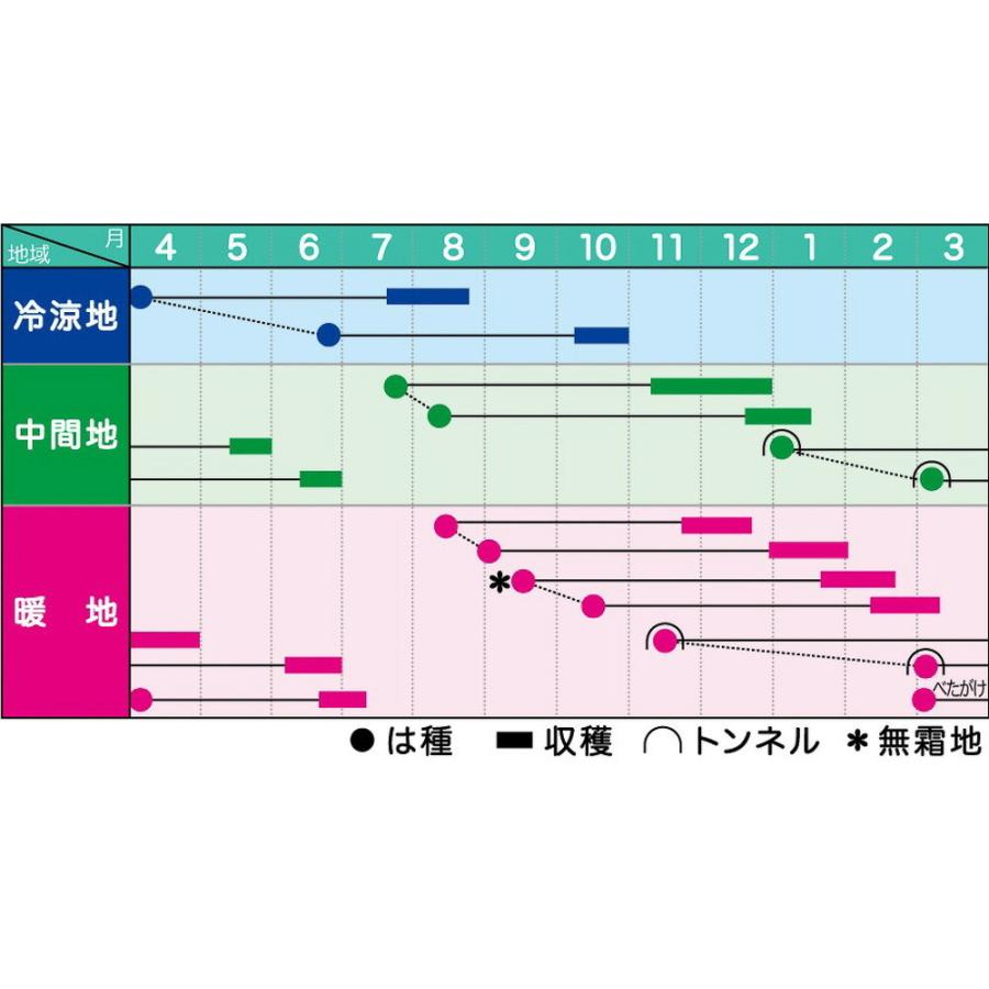 ローラ ペレット 1万粒 ニンジン にんじん 人参【ヴィルモランみかど