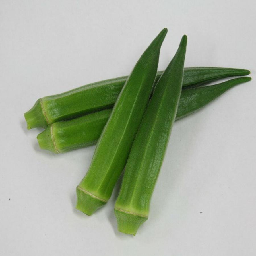 ブルースカイG 1L 袋 オクラ おくら 【ヴィルモランみかど 種 たね タネ】【通常5倍 5のつく日はポイント10倍】 | 