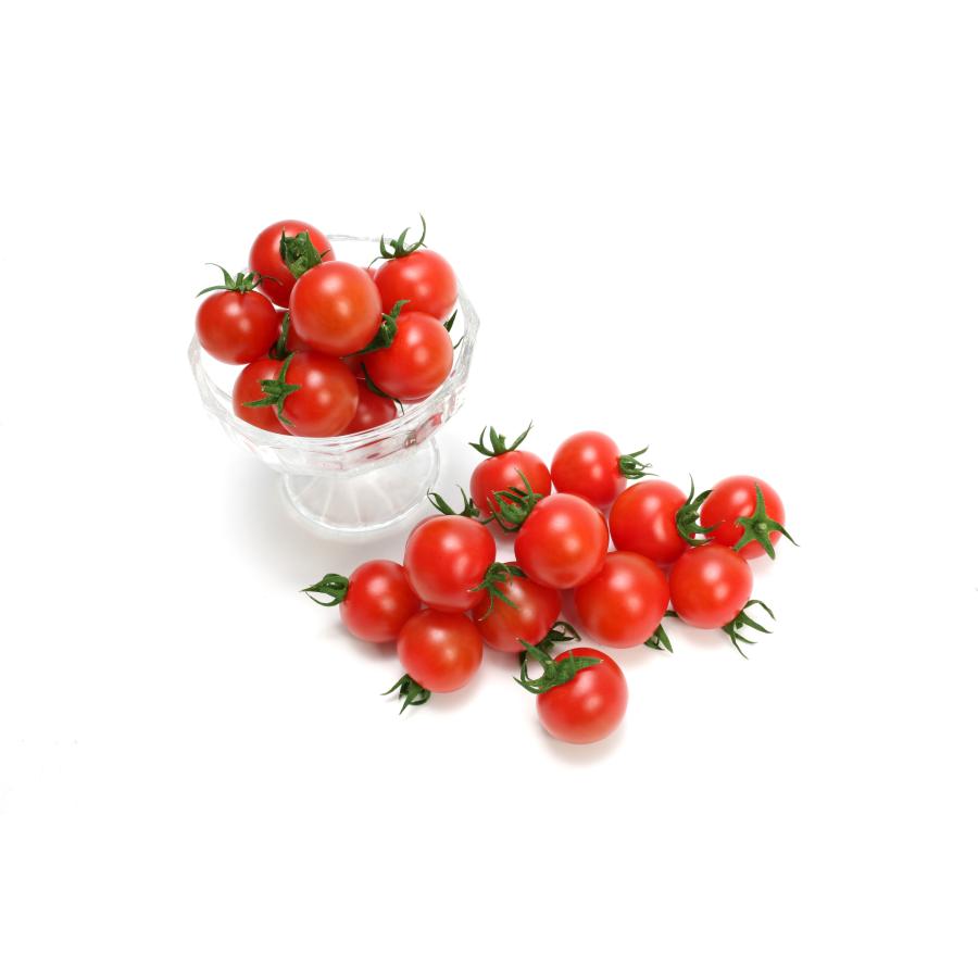 TYみわく(MKS-T834) 1000粒 PVP トマト とまと 蕃茄【ヴィルモランみかど 種 たね タネ】【通常5倍 5のつく日はポイント10倍】 | 