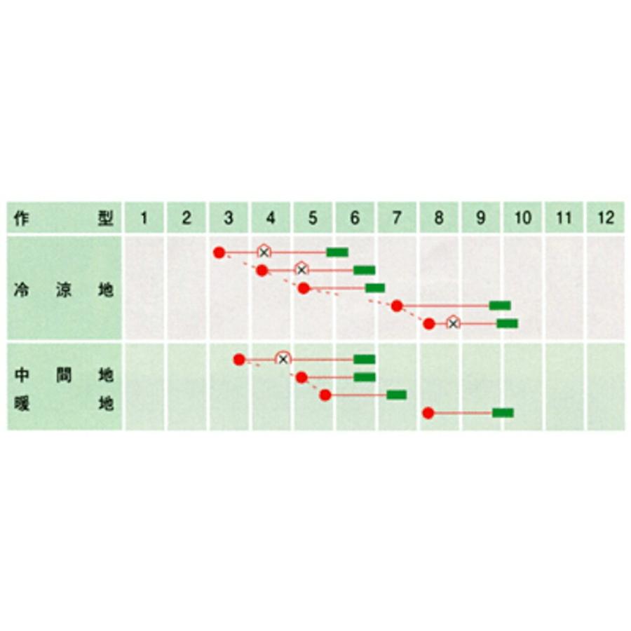 成正(つるなし) 1L さやえんどう サヤエンドウ 莢豌豆【武蔵野種苗 種 たね タネ 】【通常5倍 5のつく日はポイント10倍】 |  | 01