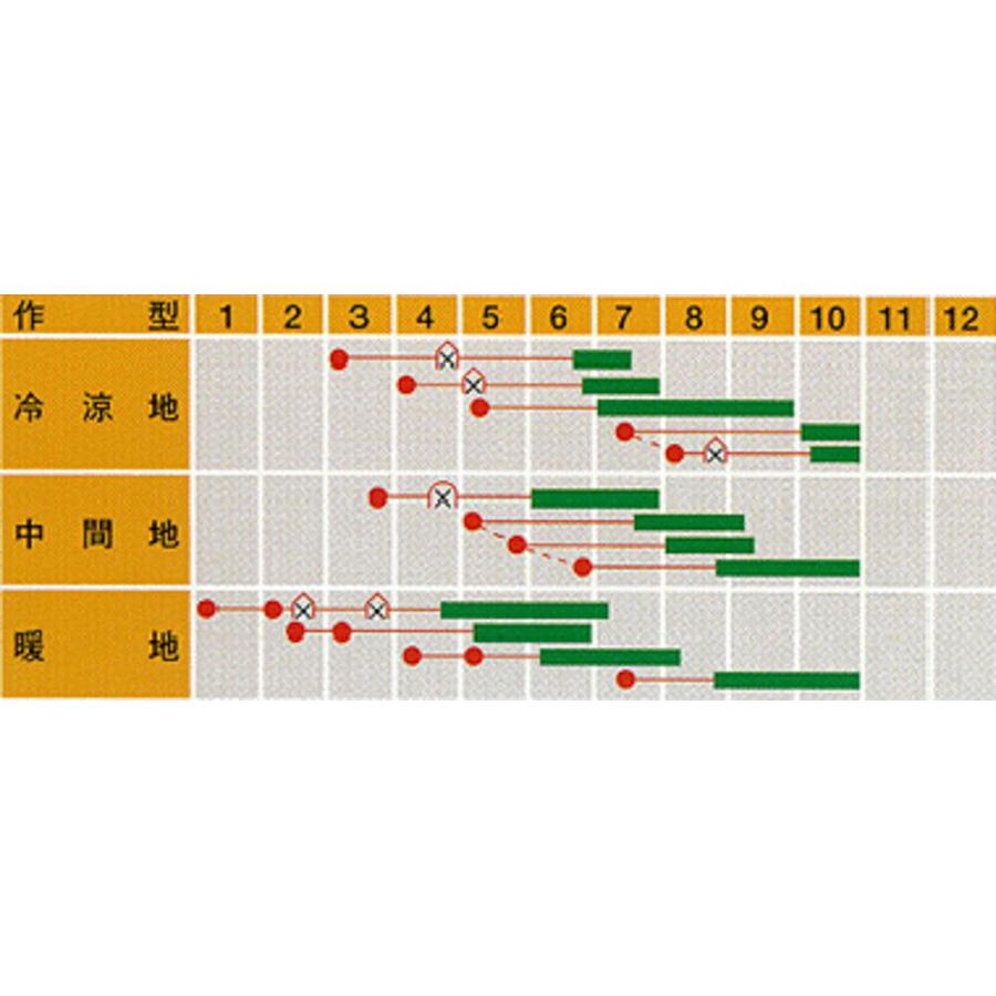 成平(つるあり) 1L さやえんどう サヤエンドウ 莢豌豆【武蔵野種苗 種 たね タネ 】【通常5倍 5のつく日はポイント10倍】 |  | 01