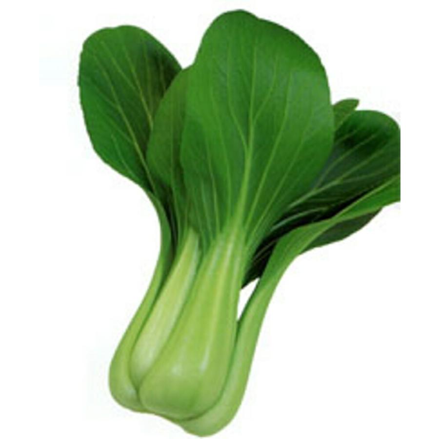 楽天 夏賞味 2dl 青梗菜 チンゲン菜 チンゲンサイ ちんげんさい 武蔵野交配 Www Neparno10