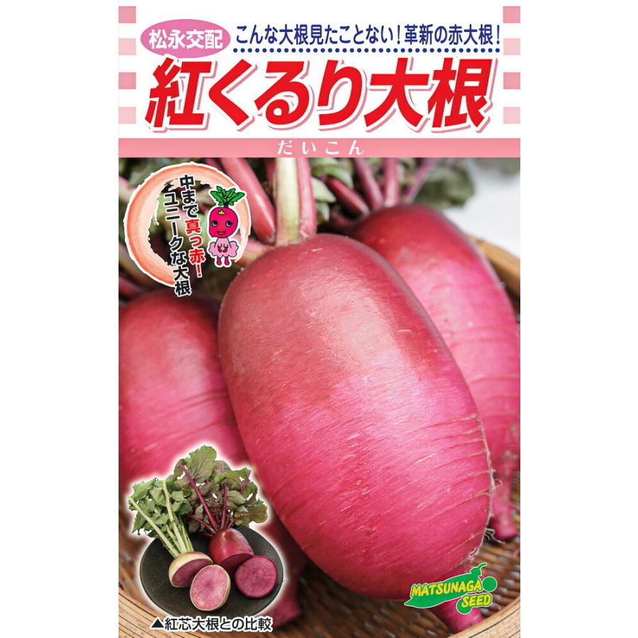 紅くるり大根 20ml詰 大根 ダイコン だいこん 松永交配 【松永種苗 種 たね タネ】【通常5倍 5のつく日はポイント10倍】 | 