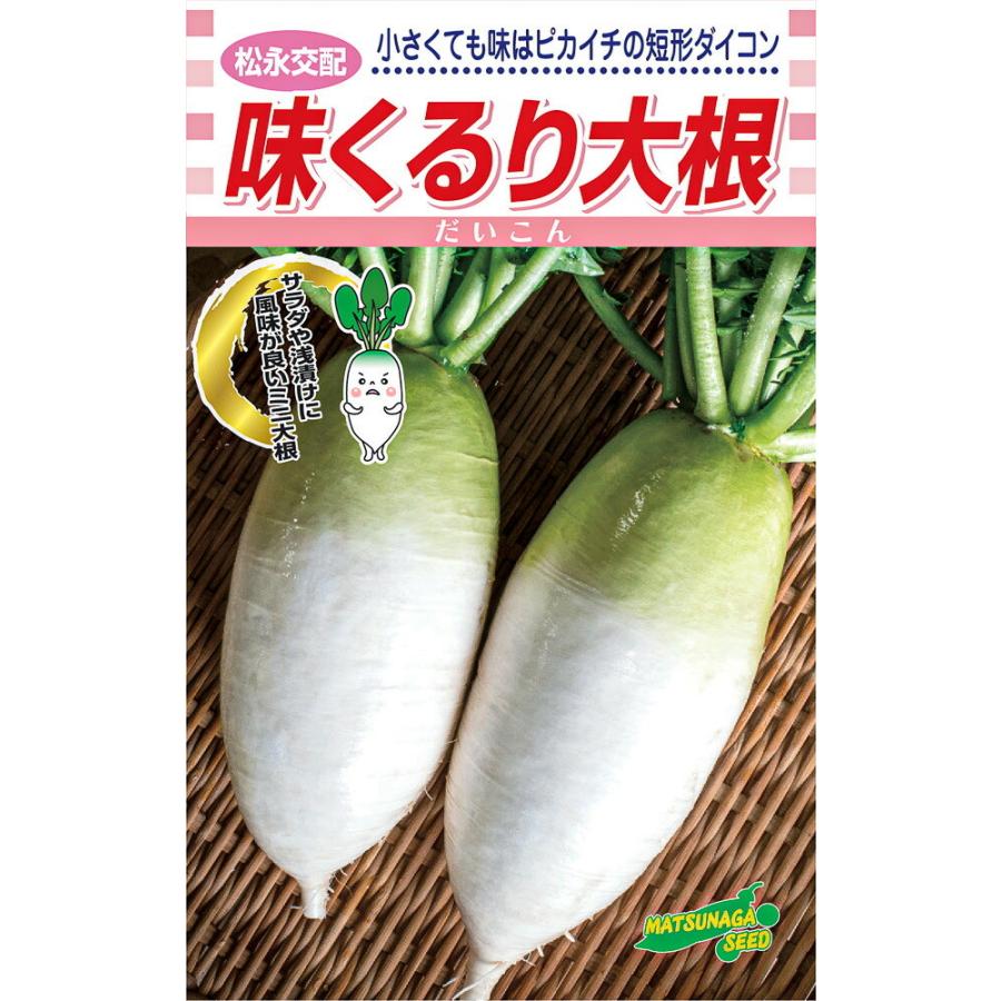味くるり大根 2dl詰 大根 ダイコン だいこん 松永交配 【松永種苗 種 たね タネ】【通常5倍 5のつく日はポイント10倍】 | 