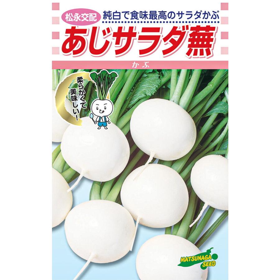 あじサラダ 2dl詰 かぶ カブ 蕪 松永交配 【松永種苗 種 たね タネ】【通常5倍 5のつく日はポイント10倍】 | 