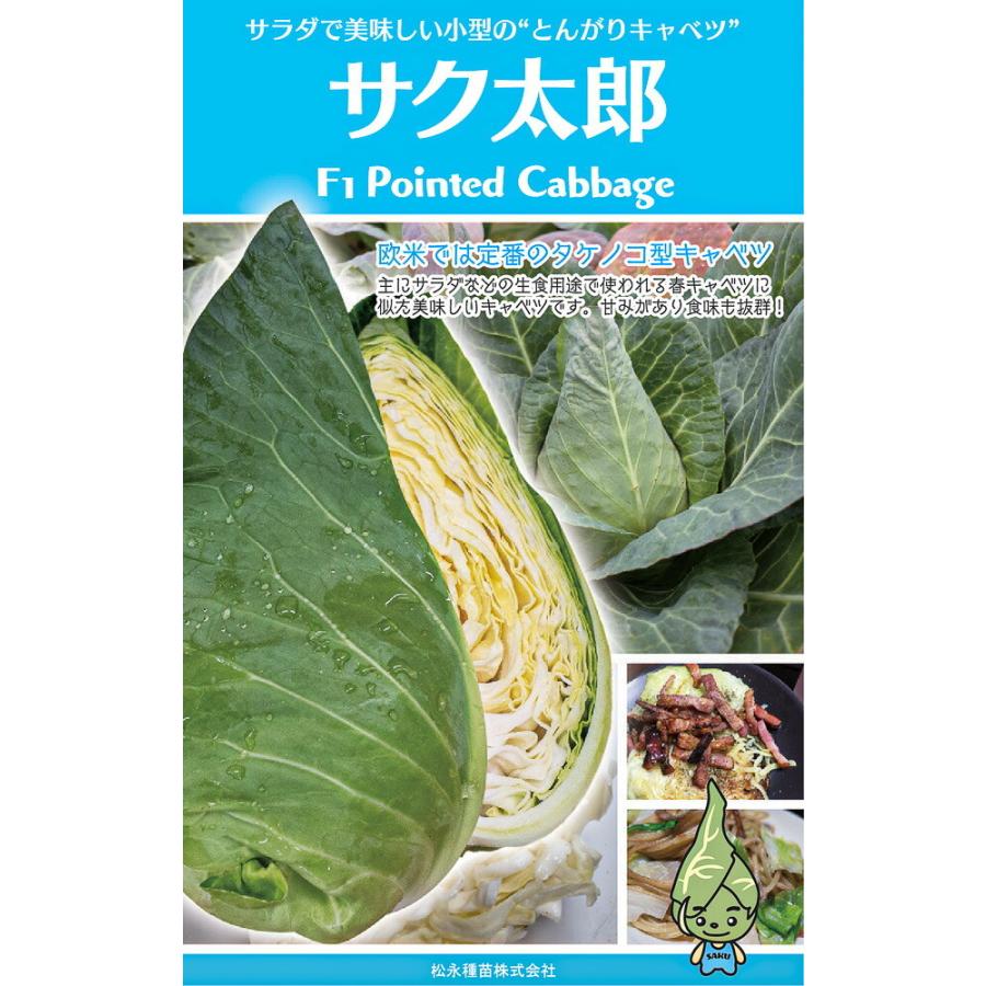 サク太郎 生種2500粒 キャベツ 松永交配 【松永種苗 種 たね タネ】【通常5倍 5のつく日はポイント10倍】 | 