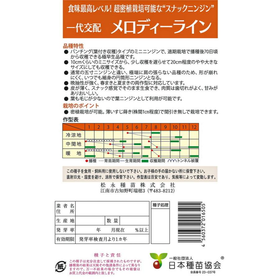 メロディーライン　コート1万粒 ニンジン にんじん 人参 一代交配　【松永種苗 種 たね タネ】【通常5倍 5のつく日はポイント10倍】 |  | 01