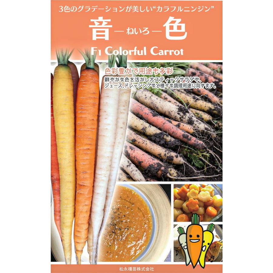 音色 生種25000粒 ニンジン にんじん 人参 一代交配　【松永種苗 種 たね タネ】【通常5倍 5のつく日はポイント10倍】 | 