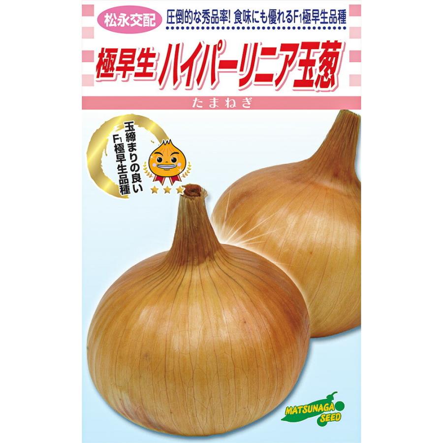 極早生 ハイパーリニア 20ml詰  玉ねぎ たまねぎ 玉葱 タマネギ 松永交配 【松永種苗 種 たね タネ】【通常5倍 5のつく日はポイント10倍】 | 