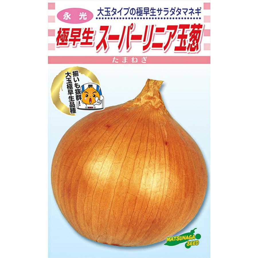 たまねぎ 種 野菜たね タマネギ （超極早生）新春玉葱EX 1袋（20ml） 玉葱
