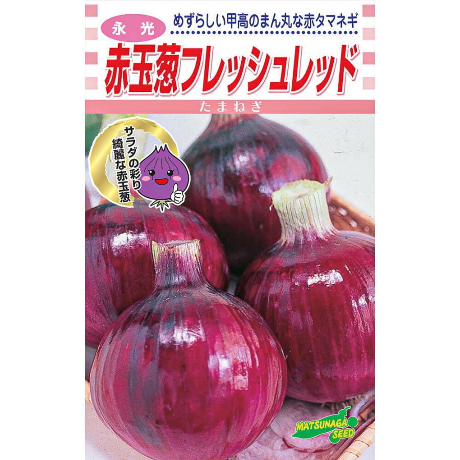 永光 赤玉葱フレッシュレッド ml詰 玉ねぎ たまねぎ 玉葱 タマネギ 松永種苗 種 たね タネ 通常ポイント7倍5の付く日は10倍 Ms0018a 全国種苗出荷センター 通販 Yahoo ショッピング