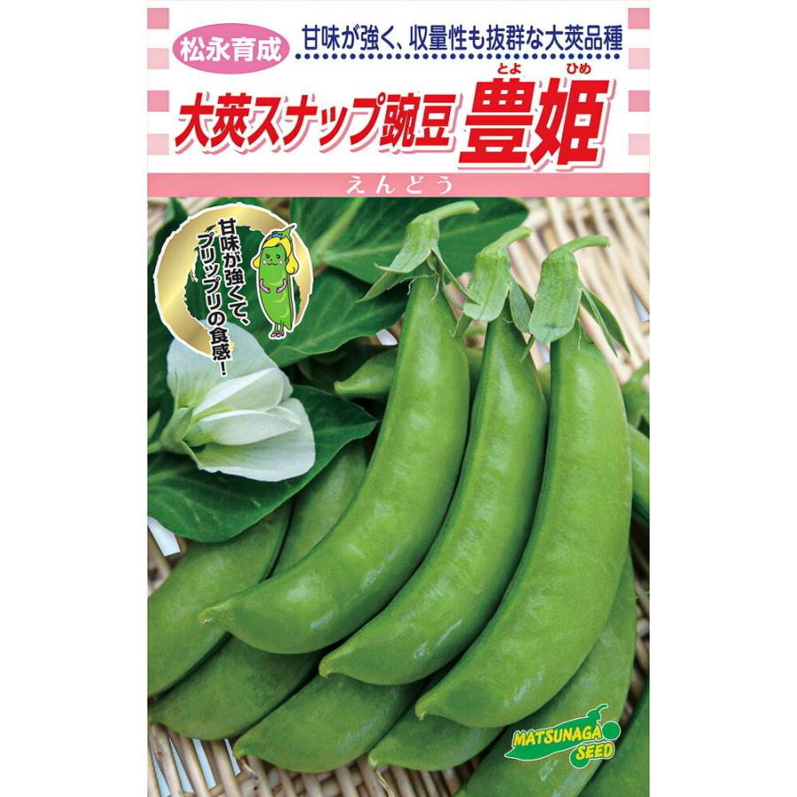 松永育成 大英スナップえんどう 豊姫 1L詰 さやえんどう サヤエンドウ