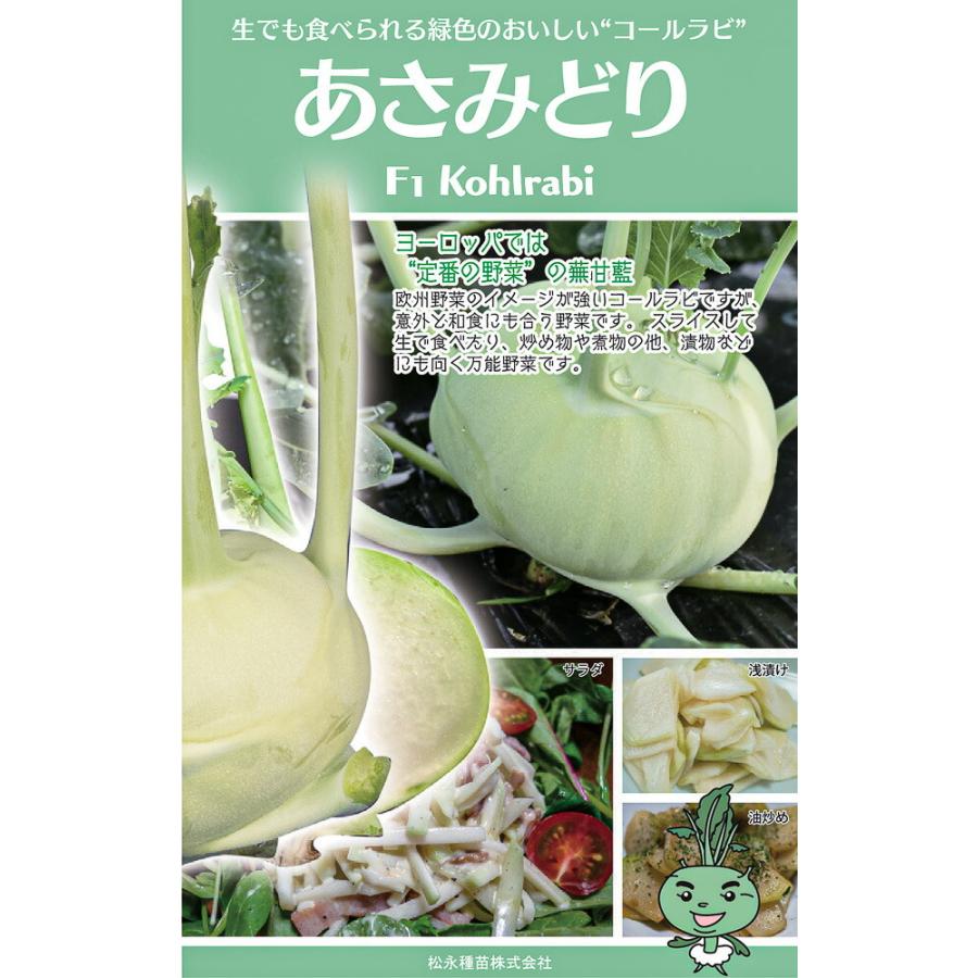一代 あさみどり（コールラビ・緑）　コート種子1000粒 コールラビ こーるらび【松永種苗 種 たね タネ】【通常5倍 5のつく日はポイント10倍】 | 