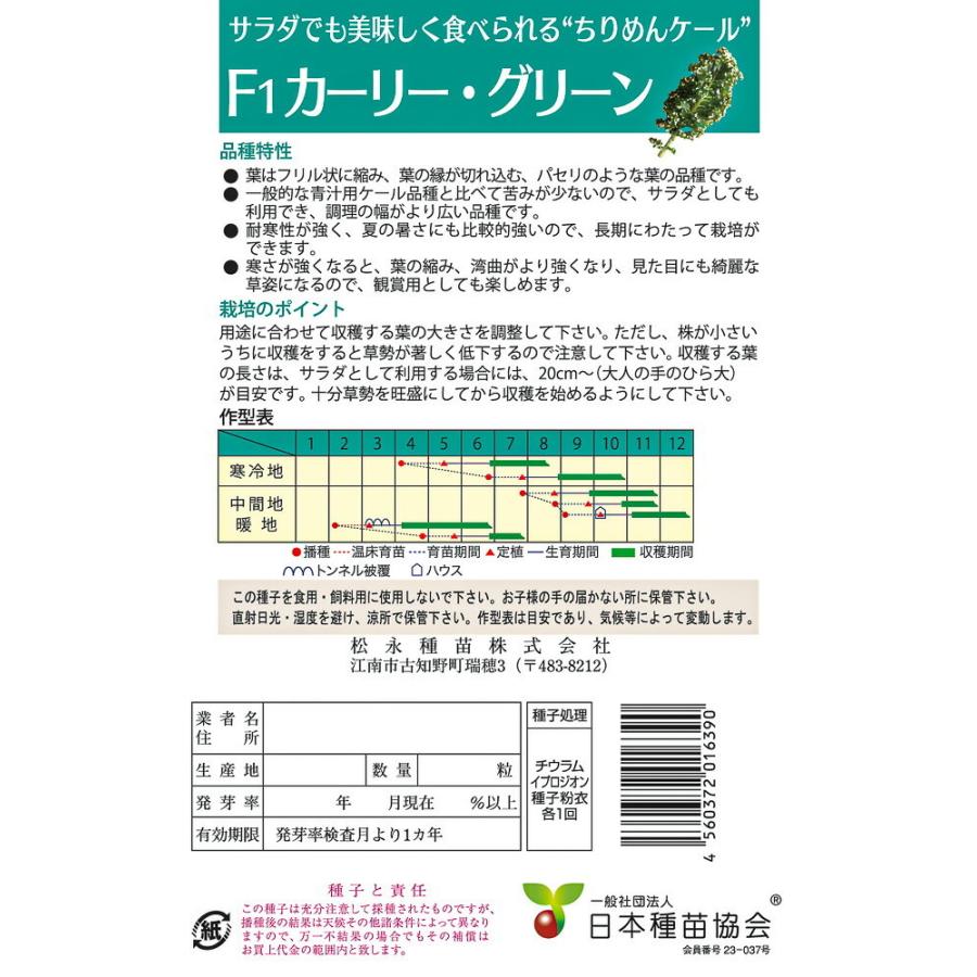 f1・ちりめんケール　　カーリー・グリーン　生種2500粒 ケール けーる【松永種苗 種 たね タネ】【通常5倍 5のつく日はポイント10倍】 |  | 01