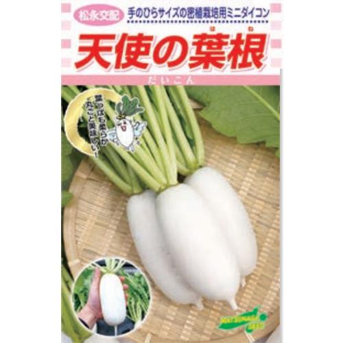 天使の葉根 20ml 大根 ダイコン だいこん 松永交配 【松永種苗 種 たね タネ】【通常5倍 5のつく日はポイント10倍】 | 
