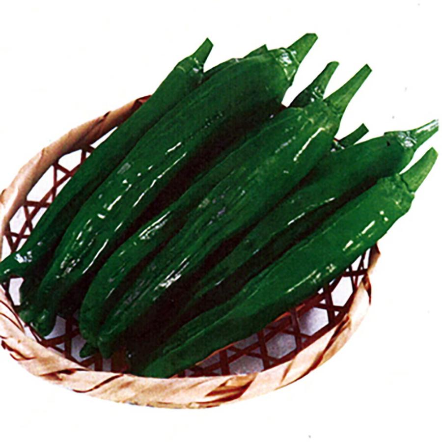 サクっとあまなが 500粒詰 唐辛子 とうがらし トウガラシ 一代交配　【丸種 種 たね タネ】【【通常5倍 5のつく日はポイント10倍】】 | 