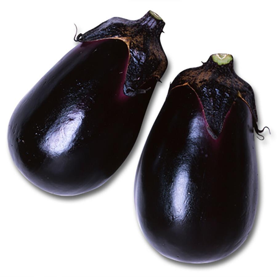 水の匠(たくみ) 2000粒詰 ナス なす 茄子 宇治交配  【丸種 種 たね タネ】【【通常5倍 5のつく日はポイント10倍】】 | 