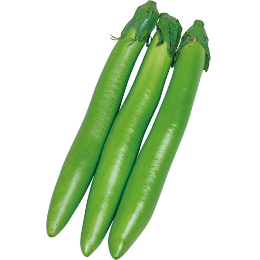 長緑(ちょうりょく) 2000粒詰 ナス なす 茄子 宇治交配 】