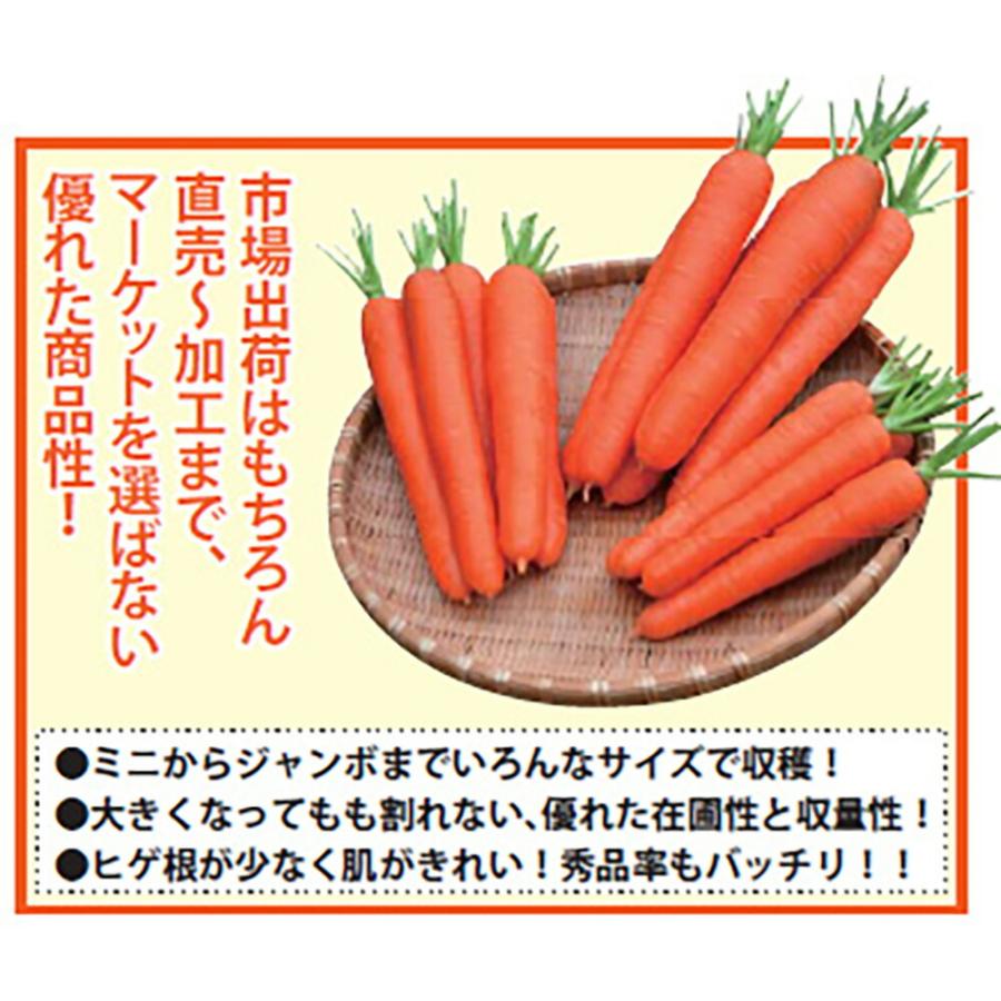 フルティカトマトの種 1000粒 フルティカ（登録品種） - オガワのタネ オンラインショップ