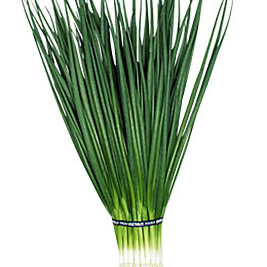 金賞 京香 1L詰 葱 ネギ ねぎ】