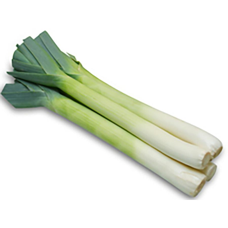 リーキ ロングトン コート2500粒 葱 ネギ ねぎ 一代交配　【丸種 種 たね タネ】【【通常5倍 5のつく日はポイント10倍】】 | 