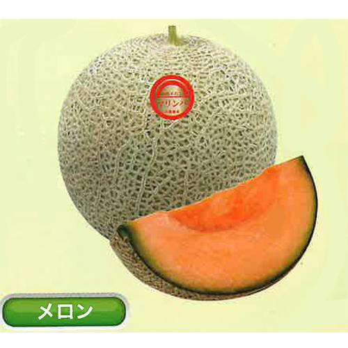 マリンバ 100粒 めろん メロン 舐瓜 宇治交配  【丸種 種 たね タネ】【通常5倍 5のつく日はポイント10倍】 | 