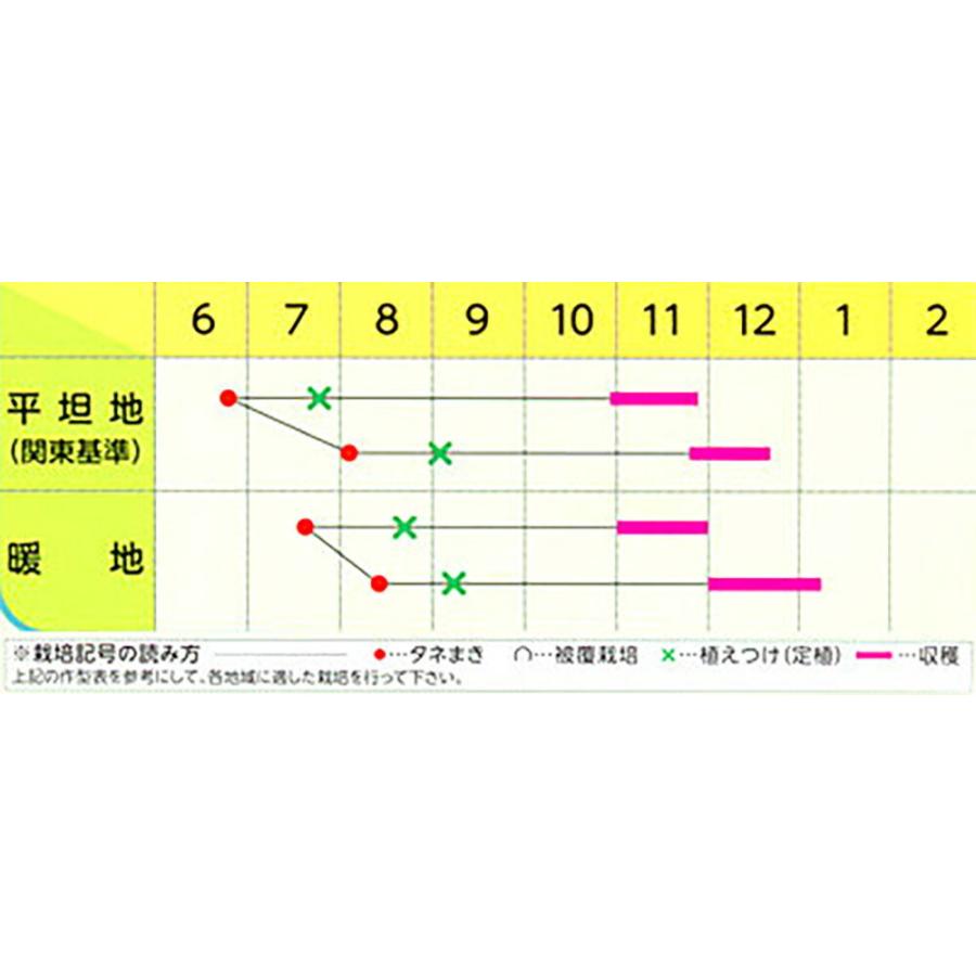 はま吉 ペレット 5000粒 キャベツ ノウリン交配 【日本農林社 種 たね タネ 】【通常5倍 5のつく日はポイント10倍】 |  | 01