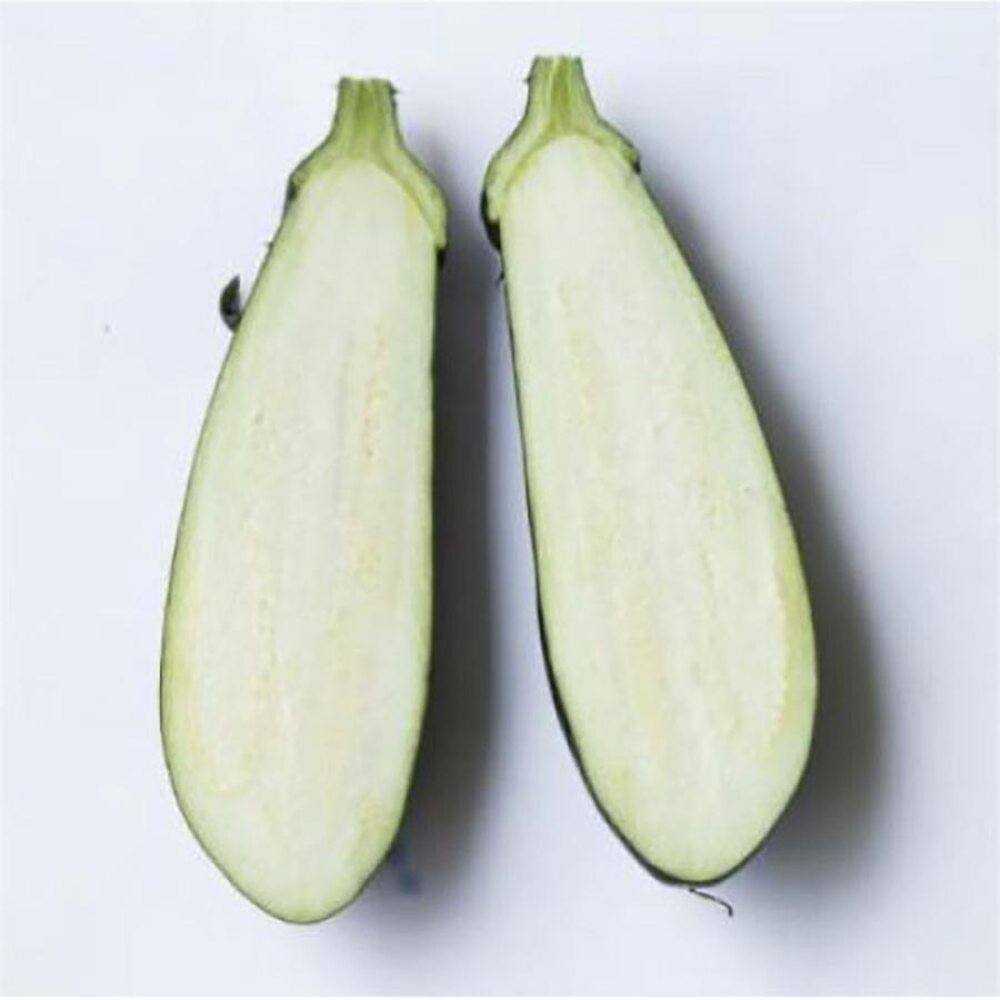 【国産】 野茶研育成 あのみのり2号 PVP キダネ 1000粒 ナス なす 茄子【日本農林社 種 たね タネ 】【通常5倍 5のつく日はポイント10倍】 【Y2299091351】(11979円)