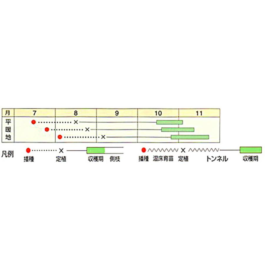 あけ緑 10ml ブロッコリー【野崎採種場 種 たね タネ 】【通常5倍 5のつく日はポイント10倍】 |  | 01