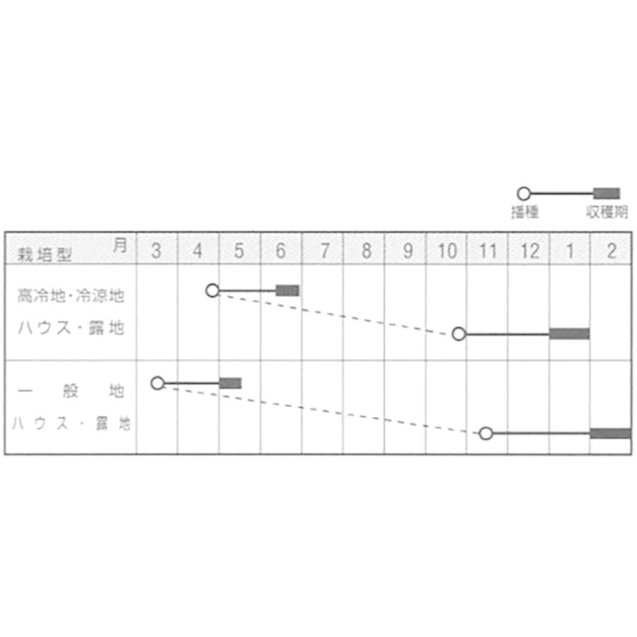 葉大根 味菜(あじさい) 1L 大根 ダイコン だいこん【ナント 種 たね タネ】【通常5倍 5のつく日はポイント10倍】｜jvsds｜02