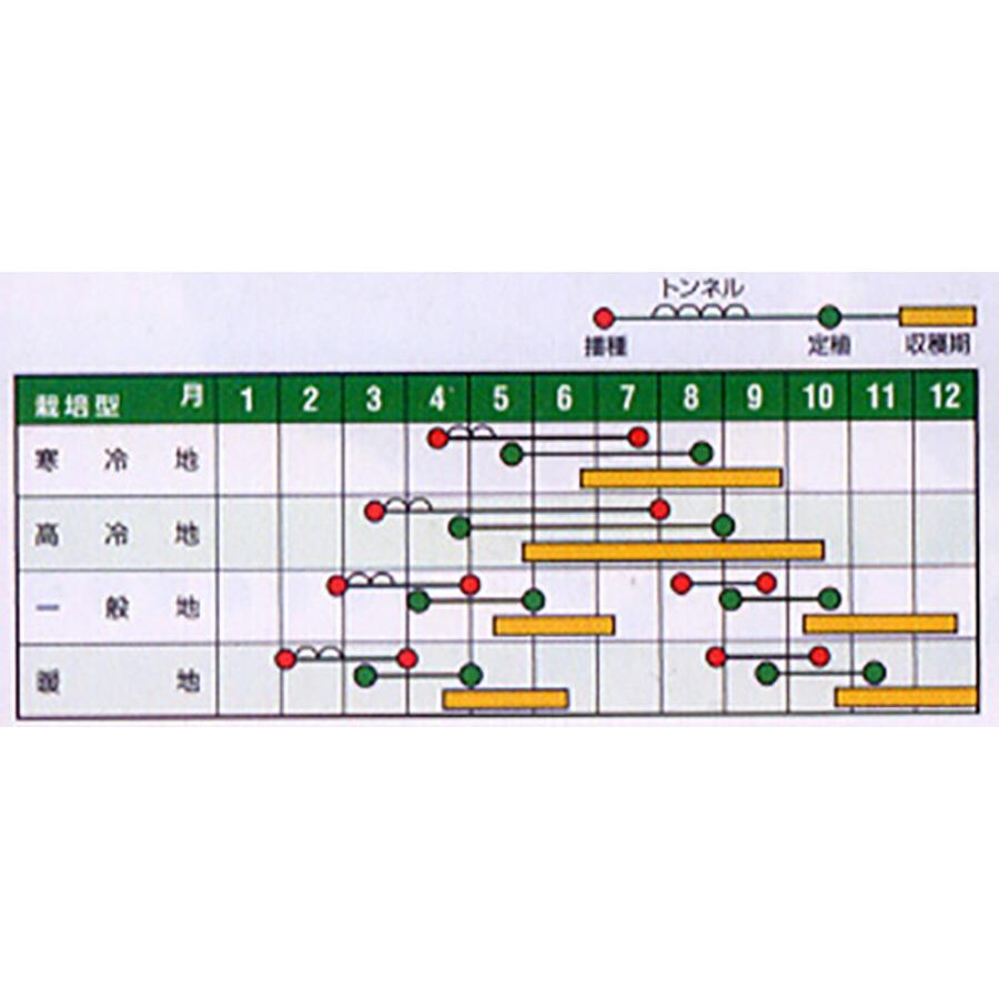 レークグリーン 20ml レタス【ナント 種 たね タネ】【通常5倍 5のつく日はポイント10倍】 |  | 01