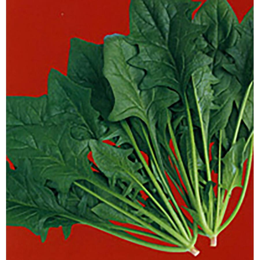 新作販売 夏賞味2号 2dl 青梗菜 チンゲン菜 チンゲンサイ ちんげんさい 武蔵野交配 Fucoa Cl