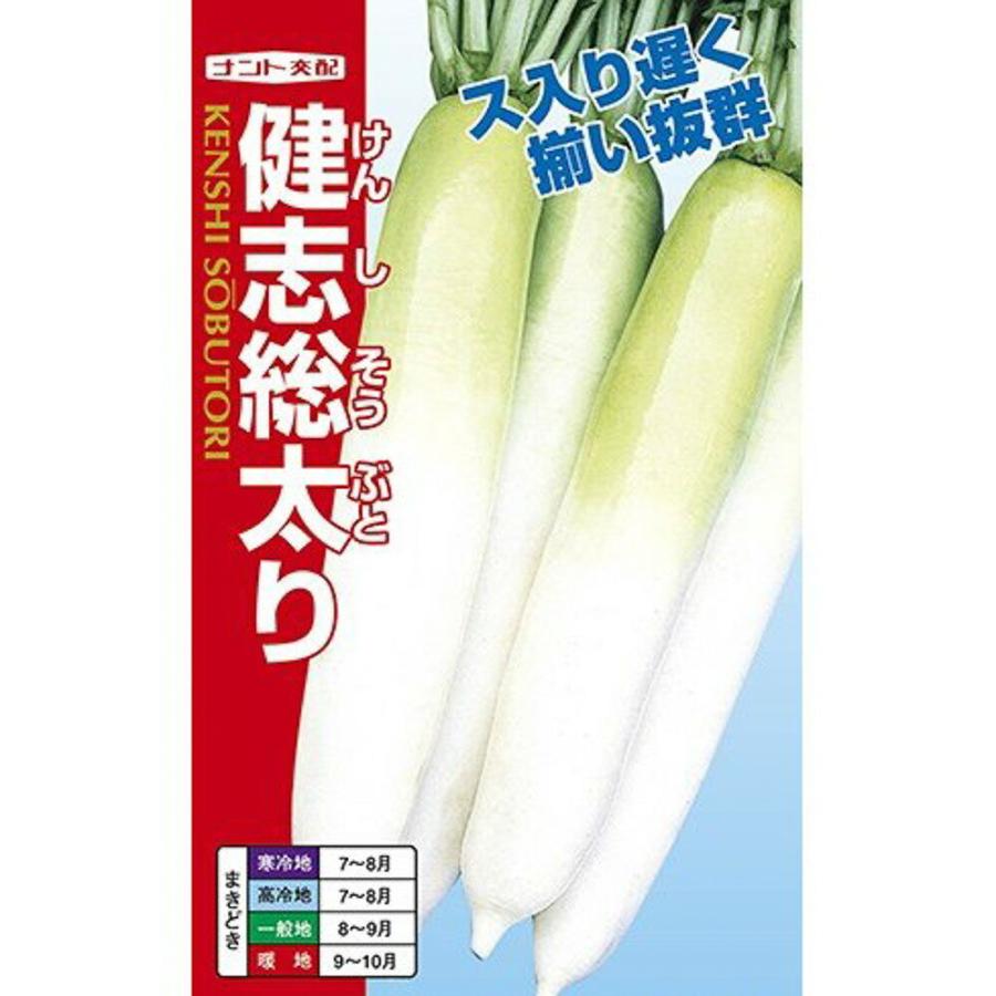 【7b】褄切伝蔵 2dl 大根 ダイコン だいこん 【ナント 種 たね タネ 】【通常5倍 5のつく日はポイント10倍】