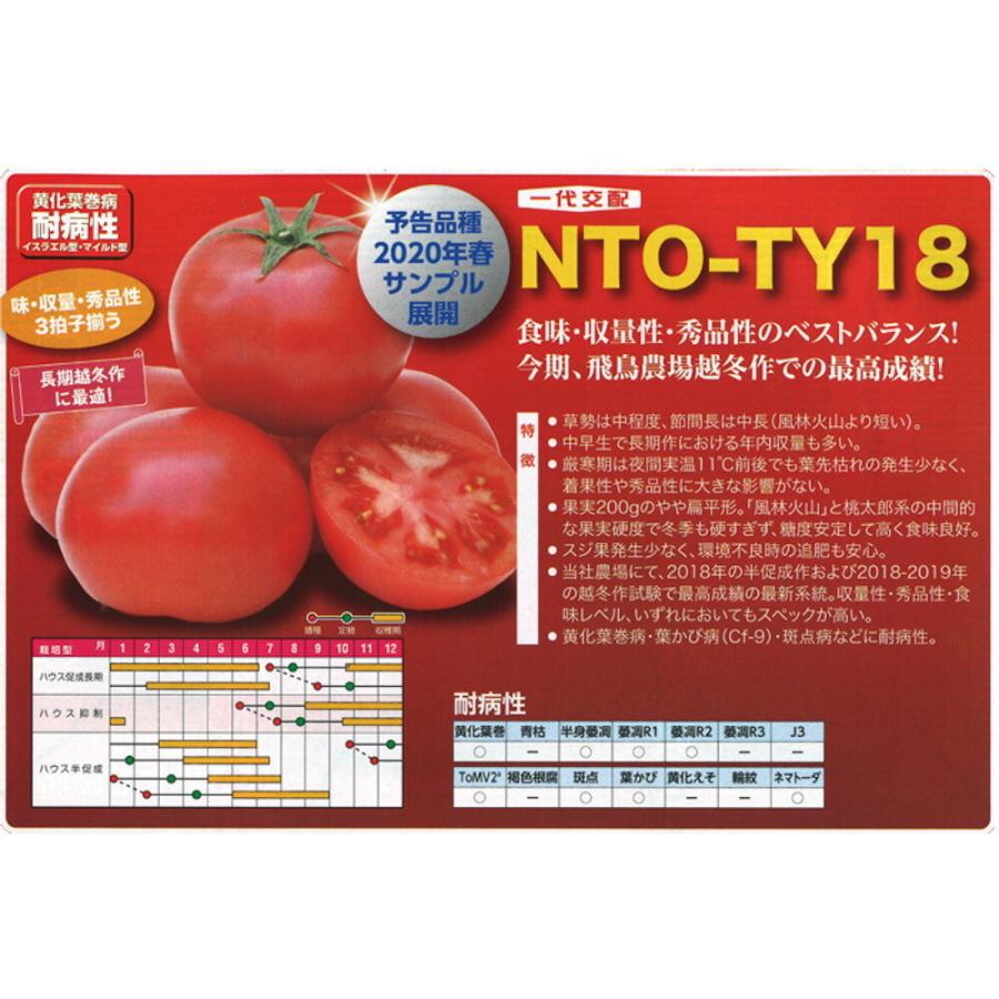 TYプリマドンナ 500粒 トマト とまと 蕃茄 【ナント 種 たね タネ 】【通常5倍 5のつく日はポイント10倍】 | 