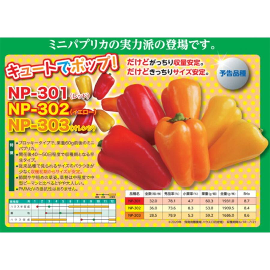 NP301（赤） 100粒 【ナント 種 たね タネ 】【通常5倍 5のつく日はポイント10倍】 | 