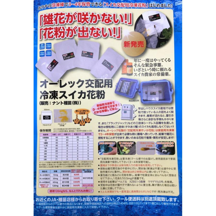 メーカー直送品】オーレック 交配用すいか花粉（冷凍） 120mg スイカ