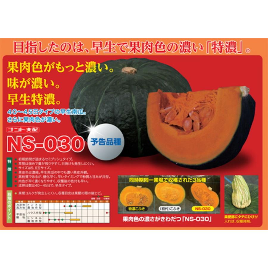 ハニーブラウン NS-030 100粒 南瓜 カボチャ かぼちゃ 【ナント 種